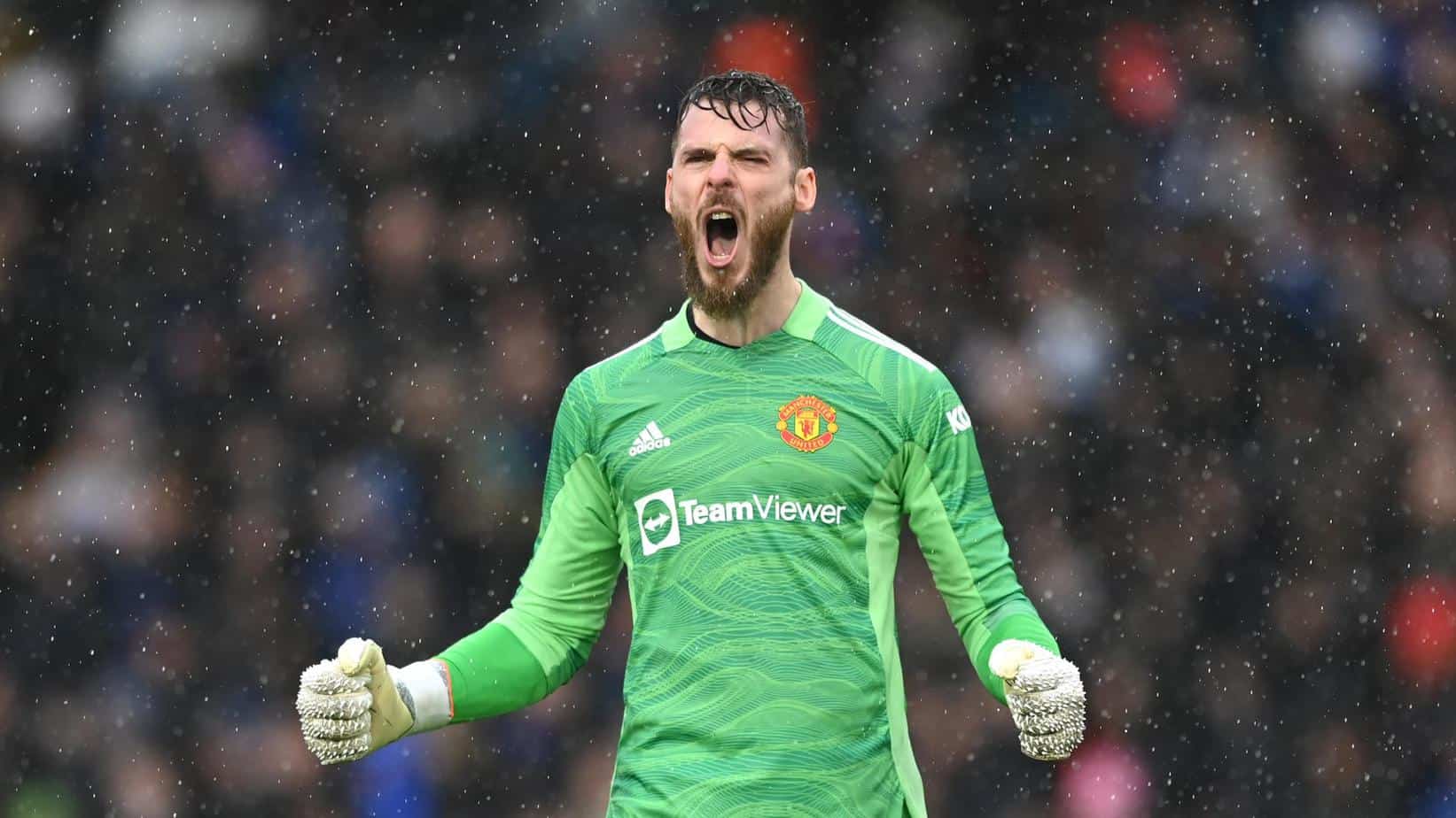 David de Gea