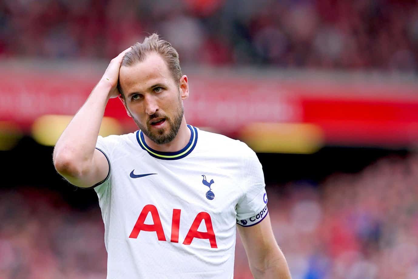 kane